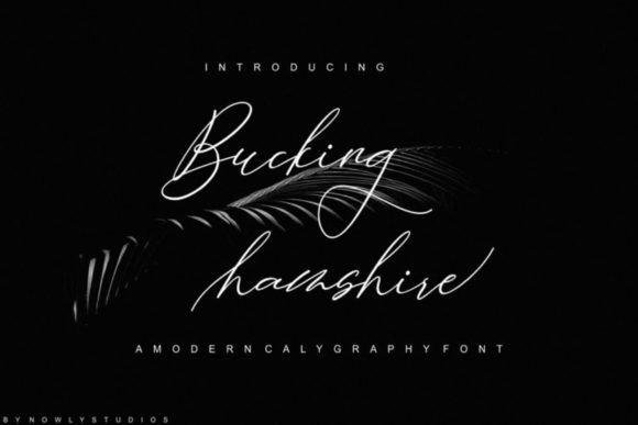 Bucking Hamshire: The Script Font That Elevates Digital Branding